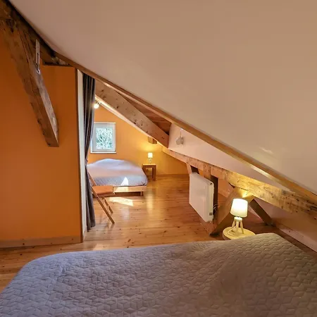 Charmante Maison A Xonrupt-longemer, 80 M² Avec Jardin Ferienhaus Xonrupt-Longemer